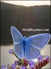 Ilustr�cia k zbierke Mot�lia princezn�