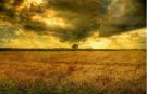 corn-fields-hdr.jpg