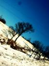 IMG_5873.JPG IMG_5873.JPG