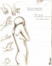 scan0015.jpg