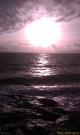 IMAGE_357.jpg IMAGE_357.jpg