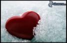-obrazky.4ever.sk--srdce--laska--lad-4098465.jpg